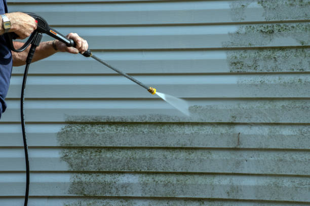 Best Solar Panel Cleaning  in Ramona, CA
